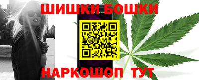 МДПВ Камышлов