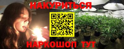МДПВ Камышлов