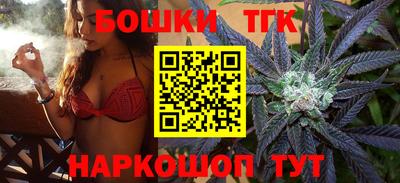 МДПВ Камышлов