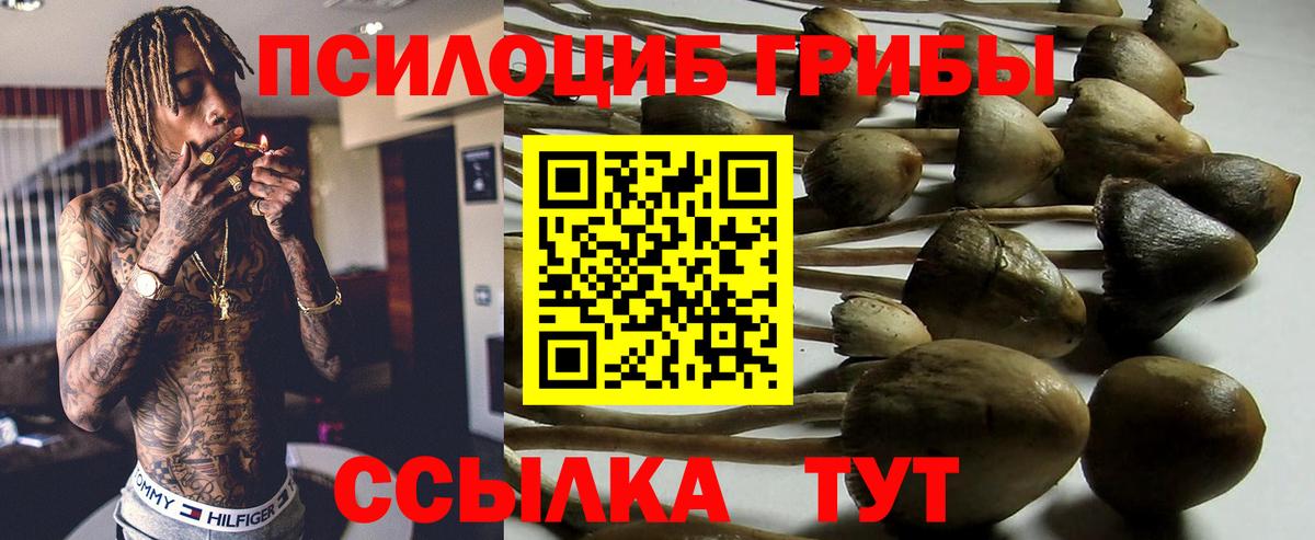 Майский  Галлюциногенные грибы Psilocybine cubensis  Псилоцибиновые грибы Cubensis  Вход с VPN 
