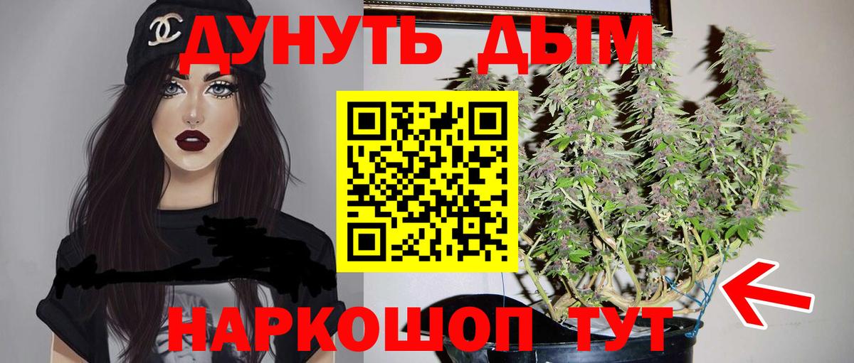 МАРИХУАНА планчик  Вход с VPN  Конопля сатива  Майский  Бошки Шишки Ganja  МАРИХУАНА тримм 